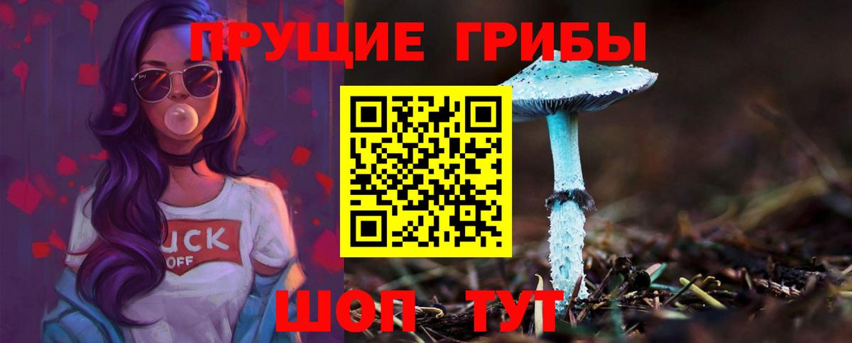 продажа наркотиков  Псилоцибиновые грибы GOLDEN TEACHER  Галлюциногенные грибы Magic Shrooms  Вход с VPN  Кропоткин 